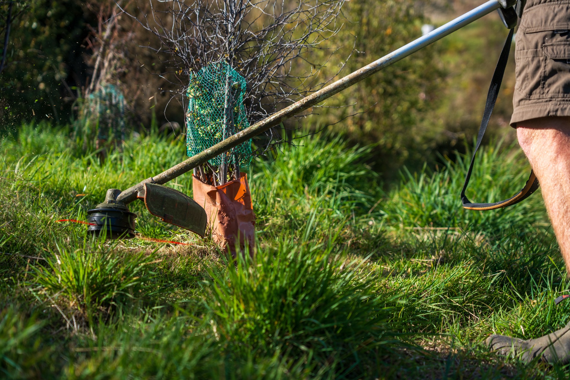 One-off garden tidy-up