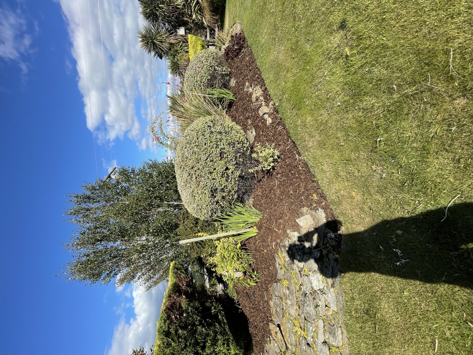 Planting and garden design